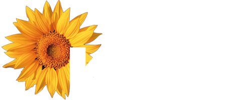 KWV Friedrichskoog